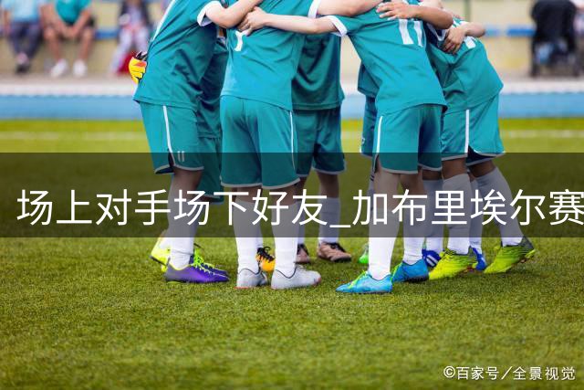场上对手场下好友 加布里埃尔赛后与哈兰德亲切相拥