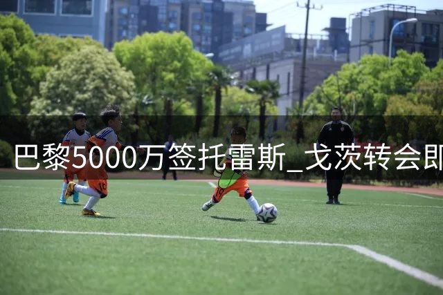 巴黎5000万签托雷斯 戈茨转会即将完成